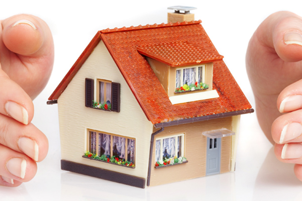 Property Maintenance